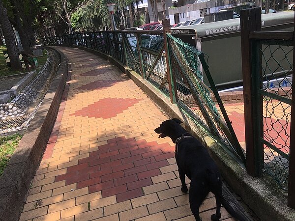 市議員黃家齊今天在議會質詢指出，寵物公園欠缺管理維護，有的圍欄傾斜倒塌、門閂彈簧片鏽蝕。圖／市議員黃家齊提供