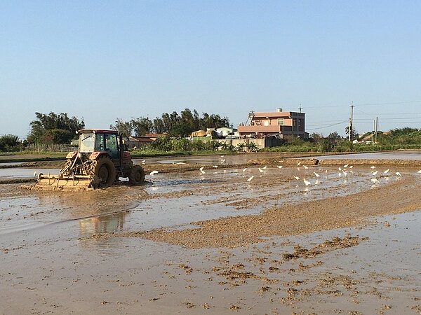 蔡政府過去四年延長農地違章工廠落日、國土計畫法險開後門條款,挨批土地不正義。本報資料照片