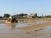 農地工廠大赦、礦業法歸零⋯環團評蔡政府土地成績單