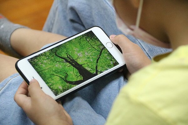 弘光科大學生調查75%家長讓幼兒看YouTube，其中有不良影響。圖／弘光科大提供