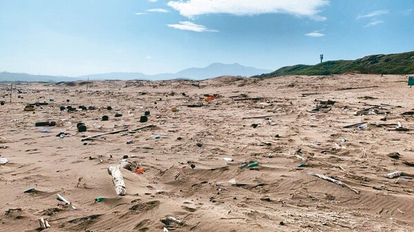 新北的老梅綠石槽美景，遊客前往卻看到沙灘上滿滿漂流垃圾。 圖／新北市議員陳偉杰提供