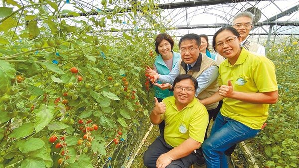 台南市長黃偉哲（二排中）、市府農業局長謝耀清（右後）15日在學甲與青農面對面座談，並參觀番茄溫室。（莊曜聰攝）