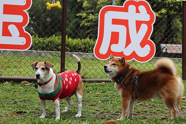 台北市南港區玉成公園增設的「狗活動區」在16日正式啟用。圖/台北市動保處提供