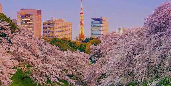 東京地區1月待售的新公寓,平均房價增至8360萬日圓(約新台幣2290萬元),改寫歷史新高紀錄,比起去年同期飆漲47.9%。圖/截自東京旅遊局