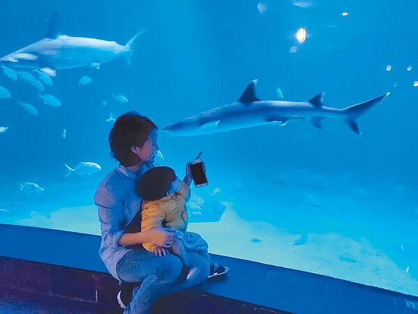 屏東海生館近年成偶像劇取景勝地,連帶帶動入館人潮,近日上檔的《跟鯊魚接吻》,更讓鯊魚特展區一夕爆紅。(屏東海生館提供)