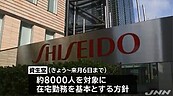 防新冠肺炎疫情擴散　日本資生堂今起8000人在家上班