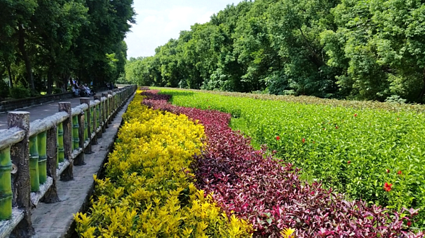 板橋區環河公園旁閒置市有土地綠美化成果。圖／新北市城鄉發展局提供