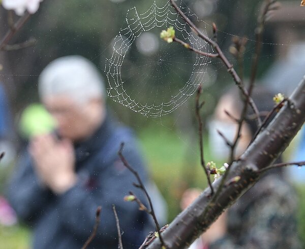 今天東北季風增強,北部及東北部氣溫下降並有短暫雨。本報資料照片