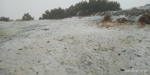 中央氣象局說，玉山氣象站今天上午7時10分開始下雪，並持續中。圖／氣象局提供