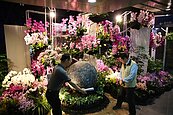 台灣國際蘭展「遍地開花」　南瀛天文館也能賞花