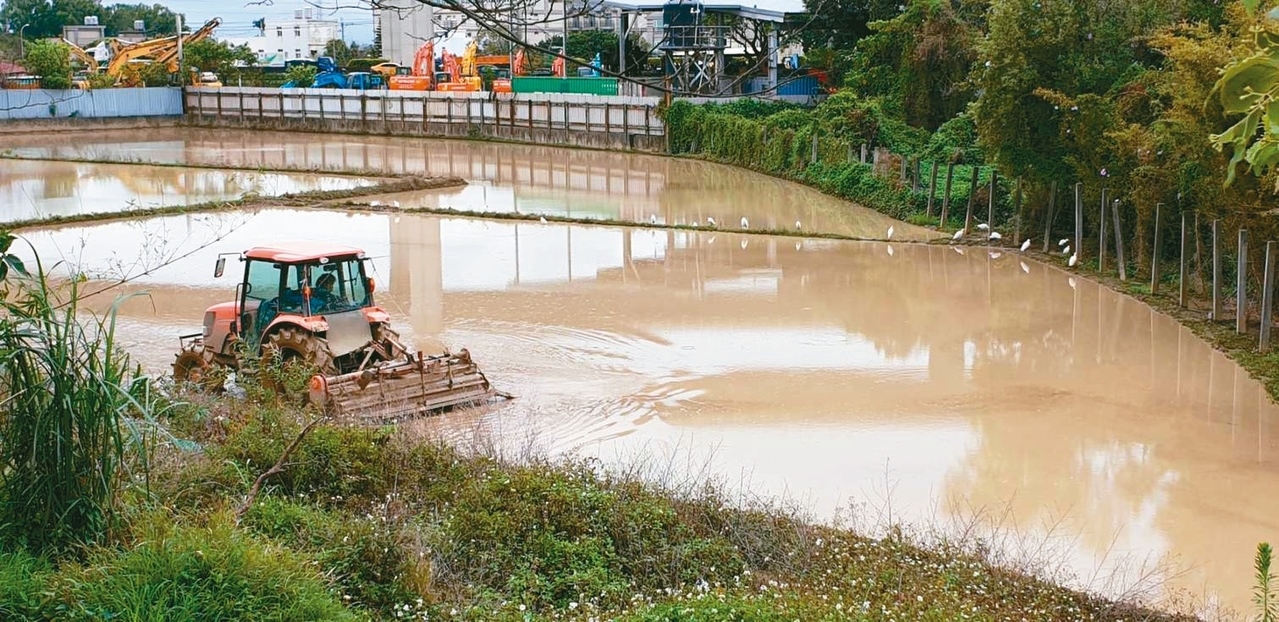 北台灣前天下午開始降雨，除山區外，平地也有下雨，有助舒緩石門水庫一期稻作的用水壓力。 記者鄭國樑／攝影