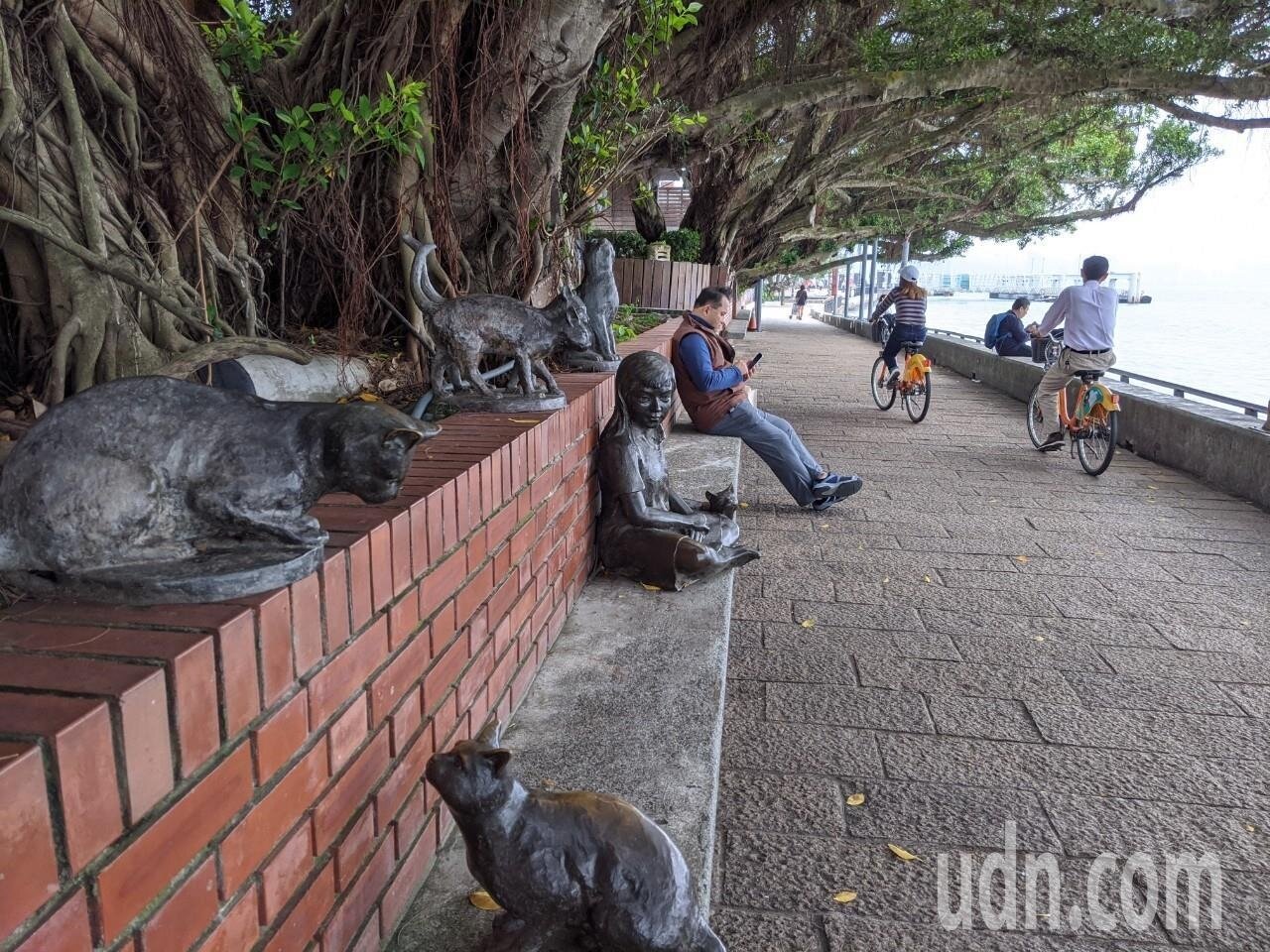 11日台灣西半部的天氣還算穩定。記者楊德宜／攝影