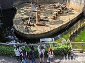 高溫上看29度！　彭啟明：周四鋒面掠過北台灣