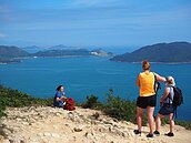 旅行社接連跟進！雄獅、東南、可樂、易遊網停出4月團