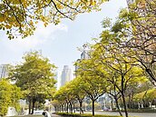 七期房市升溫　市政路最夯