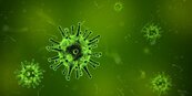 澳洲發現　人體4種免疫細胞可抵抗新冠病毒