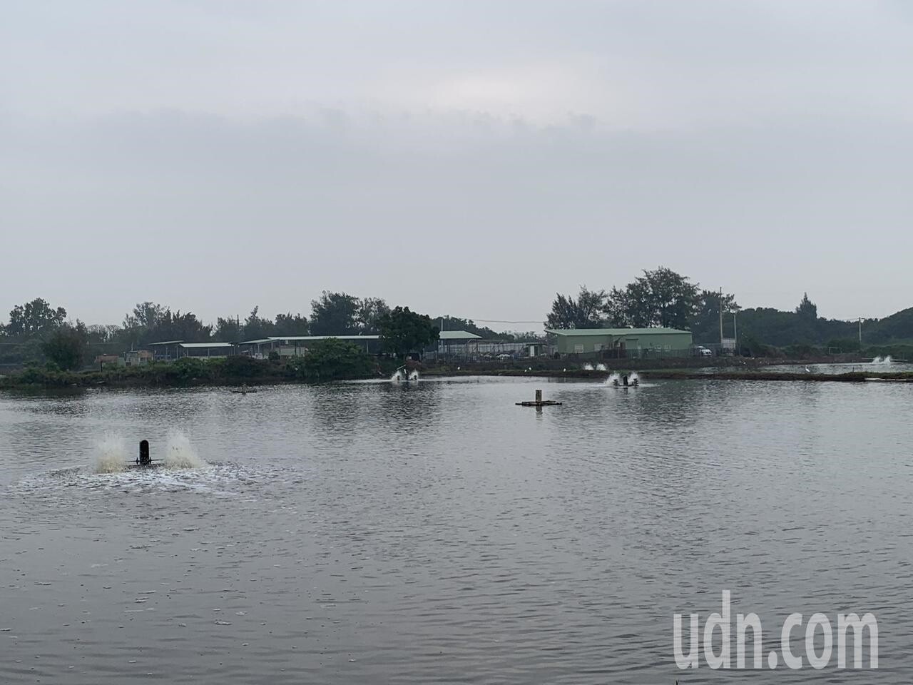 新竹縣新建焚化爐以BOO方式自建,距離預定地2公里內有面積近70公頃的烏魚養殖區。記者陳斯穎/攝影