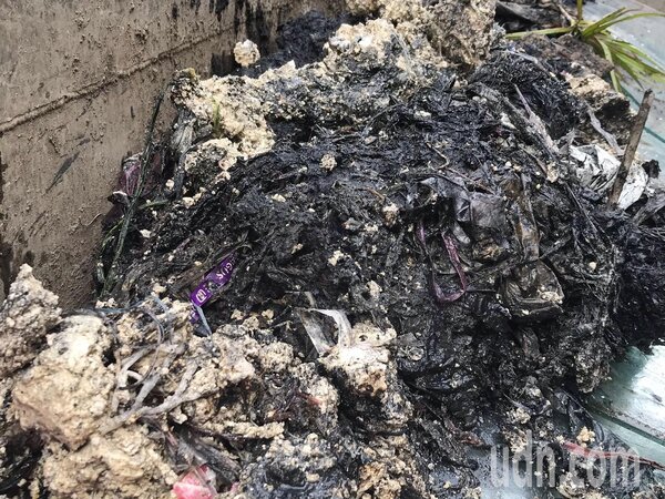嘉義市共和路段的水溝散發惡臭，環保局清出半噸垃圾。圖／嘉義市議員黃思婷提供