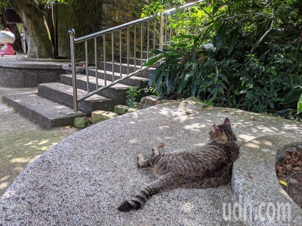 太平洋高壓及西南風沉降影響,各地炎熱。記者楊德宜/攝影