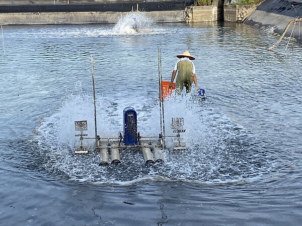 宜蘭縣政府今天證實,有養殖場的蝦隻確診「十足目虹彩病毒」,縣政府已啟動防疫圍堵作業,限制案例場的漁獲進出及消毒清池復養輔導,以避免病毒危害。圖/宜蘭縣政府提供