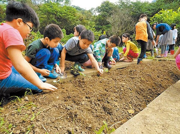 實驗教育學校蓬勃發展，學生人數已近1.8萬。圖為基隆市瑪陵國小師生體驗農事。（基隆市政府提供）