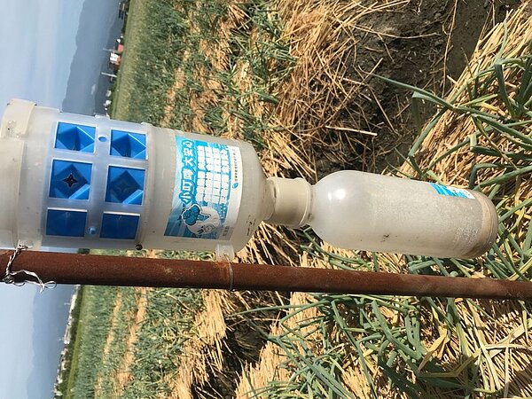 甜菜夜蛾、斜蚊夜蛾田間密度增高。圖/宜蘭縣政府提供