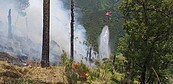 台中馬武佐野郡山森林大火延燒2.8公頃　直升機投水灌救