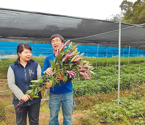 農村青年紛紛外流，造成農業缺工頻傳，青農陳世璋（右）是新竹市唯一栽種香水百合者。（竹市府提供）