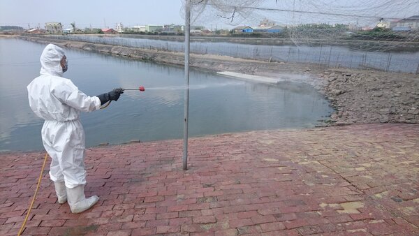 台南市農業局呼籲蛋鴨場加強防範新興坦布蘇病毒。圖/農業局提供