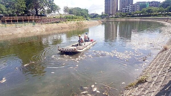 高雄後勁溪端午連假出現大量魚屍,初步研判是天氣太熱,導致水中溶氧量不足,致魚群死亡,總重量約十萬噸。圖/高雄市水利局提供