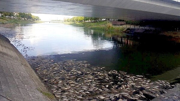 高雄後勁溪端午連假出現大量魚屍,初步研判是天氣太熱,導致水中溶氧量不足,以致魚群死亡。圖/高雄市水利局提供