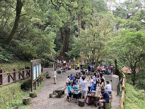 端午連假天氣炎熱,桃園市出遊人潮、車潮多集中在山區、郊區,復興區拉拉山更成為端午連假桃園轄內的最夯景點,巨木群步道湧現滿場遊客。圖/桃園市觀光旅遊局提供