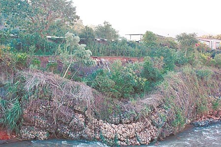 八里保育場邊坡被河流、大雨逐漸掏空，2008年辛樂克颱風時，重創重整後邊坡，使原本3米寬可供車輛行進的道路，現在僅能讓1個人通行。（戴上容攝） 