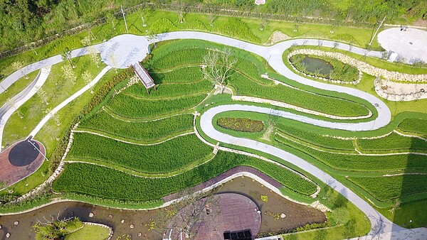 桃園市府在桃園區打造大有梯田生態公園將完工,生態梯田重現早年大檜溪地區依山開墾水梯田的農村景貌,市府工務局19日將辦開園儀式。圖/桃園市工務局提供