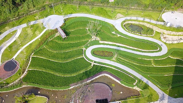 桃園市府在桃園區打造大有梯田生態公園將完工，生態梯田重現早年大檜溪地區依山開墾水梯田的農村景貌，市府工務局19日將辦開園儀式。圖／桃園市工務局提供