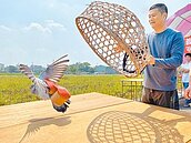 嗡嗡嗡　百年放笭鴿恐步入歷史