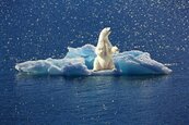 北極快速暖化　永凍土融化…全球無一倖免！