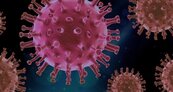 英媒：中國2013年就發現類新冠病毒　樣本送武漢實驗室