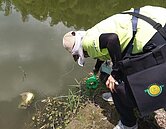 高雄新增1例日本腦炎　加強防蚊措施、適齡幼童接種疫苗