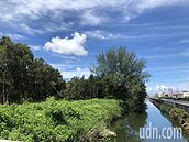 台糖平地造林農地改種電惹議　生態保育團體反對砍樹