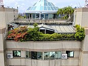 頂樓加蓋被拆　建商槓上高市府