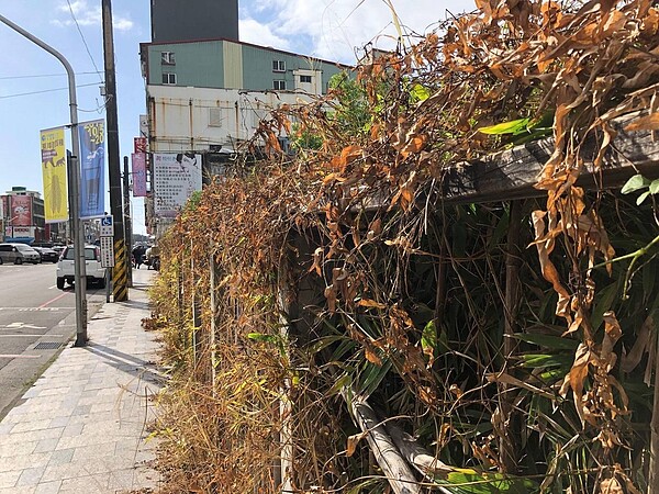 花蓮縣議員楊華美去年發現縣內許多公共場域使用除草劑，提案要求縣府制訂自治條例規範。圖／翻攝楊華美臉書