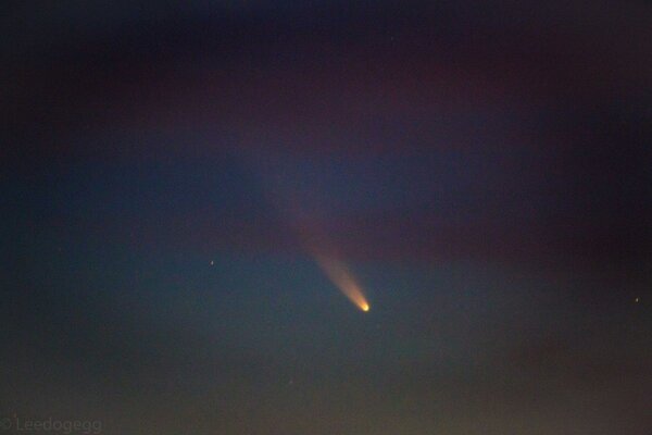 攝影愛好者李木白拍下彗星特寫，清楚可見彗核及彗尾。圖／李木白提供