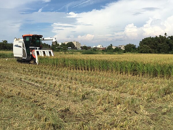 新竹市田野引火燃燒管理辦法廢止,禁止露天燃燒,觸法將開罰。圖/新竹市產發處提供