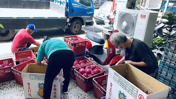 彰化縣溪湖鎮樂湖食(實)物銀行獲贈火龍果,志工幫忙分裝送到社區。 圖/溪湖鎮公所提供