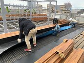 節能抗高溫　北市綠屋頂補助最高300萬