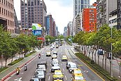 信義路、忠孝東路綠蔭不足　北市挨轟擺爛