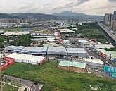 賴建程：報復性買盤爆發　上新莊湧現購屋潮