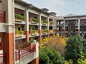 髒空氣OUT！中市13所校園申設淨化空氣綠牆