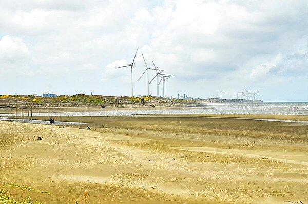 桃園市政府預計在許厝港溼地新建景觀大橋,將可供行人、單車通行,預計明年發包,工期18個月。(賴佑維攝)